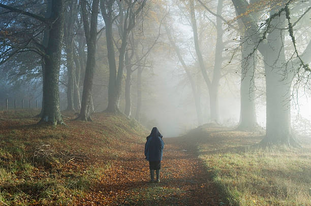 Young boy in misty woodland stock photo