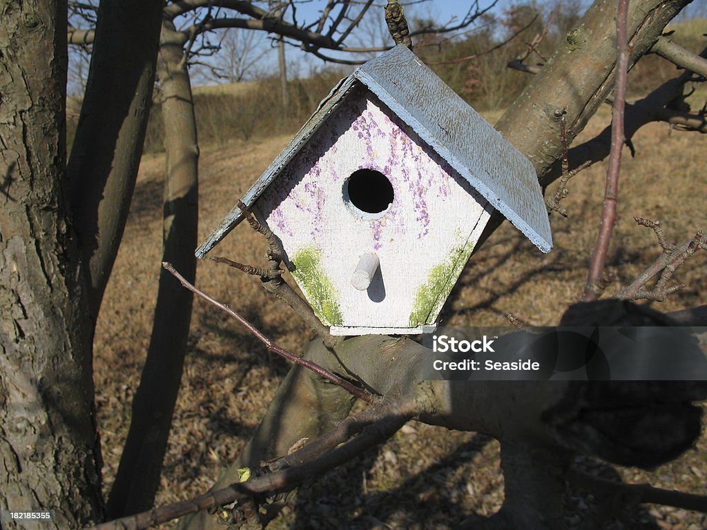 Envelhecido pintado Casa de Pássaro - Foto de stock de Animal royalty-free