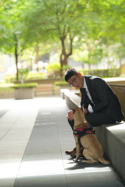 istock Travelling With Pets.walking with their pets .commuting and shopping 1821869373