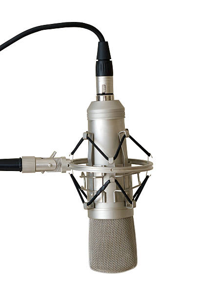 Studio Condenser Microphone WHite stock photo