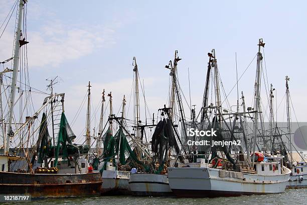 Shrimping Barcos - Fotografias de stock e mais imagens de Agricultura - Agricultura, Barco de Pesca de Camarões, Camarão - Animal