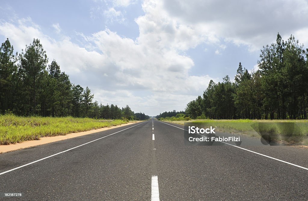 L'autoroute de pine forest - Photo de Route libre de droits