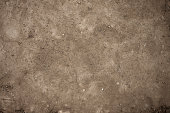 istock Dirt Background 182187754