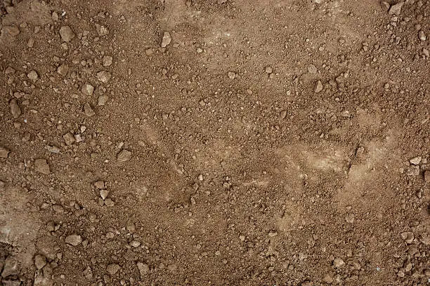 Photo of Dirt Background