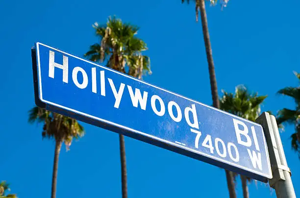 "Angled view of the Hollywood boulevard sign, with palm trees in the background"