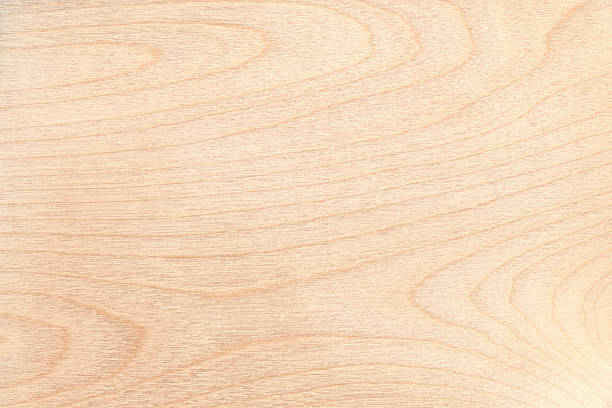 High resolution natural light wood texture stock photo