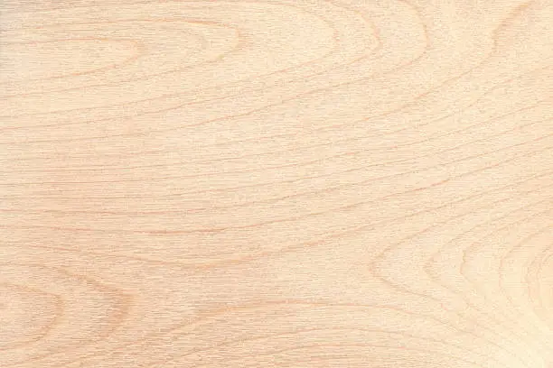 Photo of High resolution natural light wood texture
