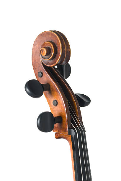 violine isoliert auf weiss - cello stock-fotos und bilder