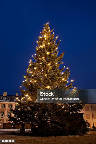 Christmas Tree Stock Photo - Download Image Now - Christmas Tree, Outdoors, Illuminated