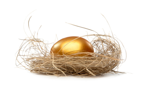 Golden egg in nest. White background
