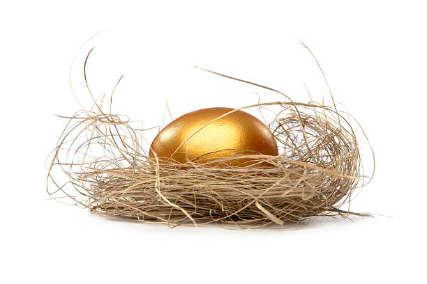 Golden nest egg Golden egg in nest. White background nest egg stock pictures, royalty-free photos & images
