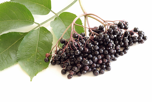 Elderberry and leaves on a white table