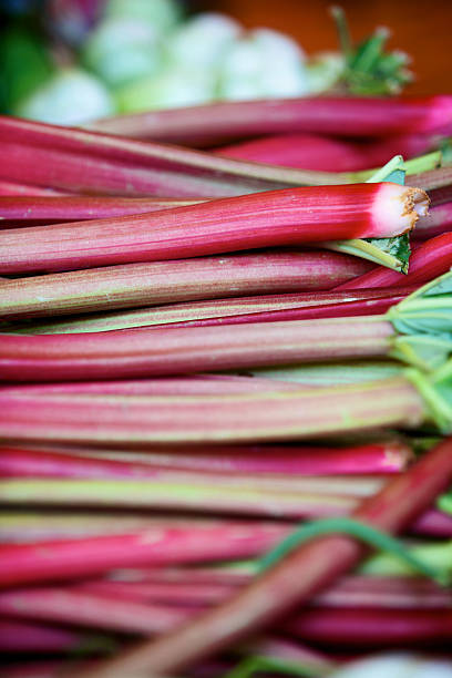 istock Farmer's market rhubarb 182188801
