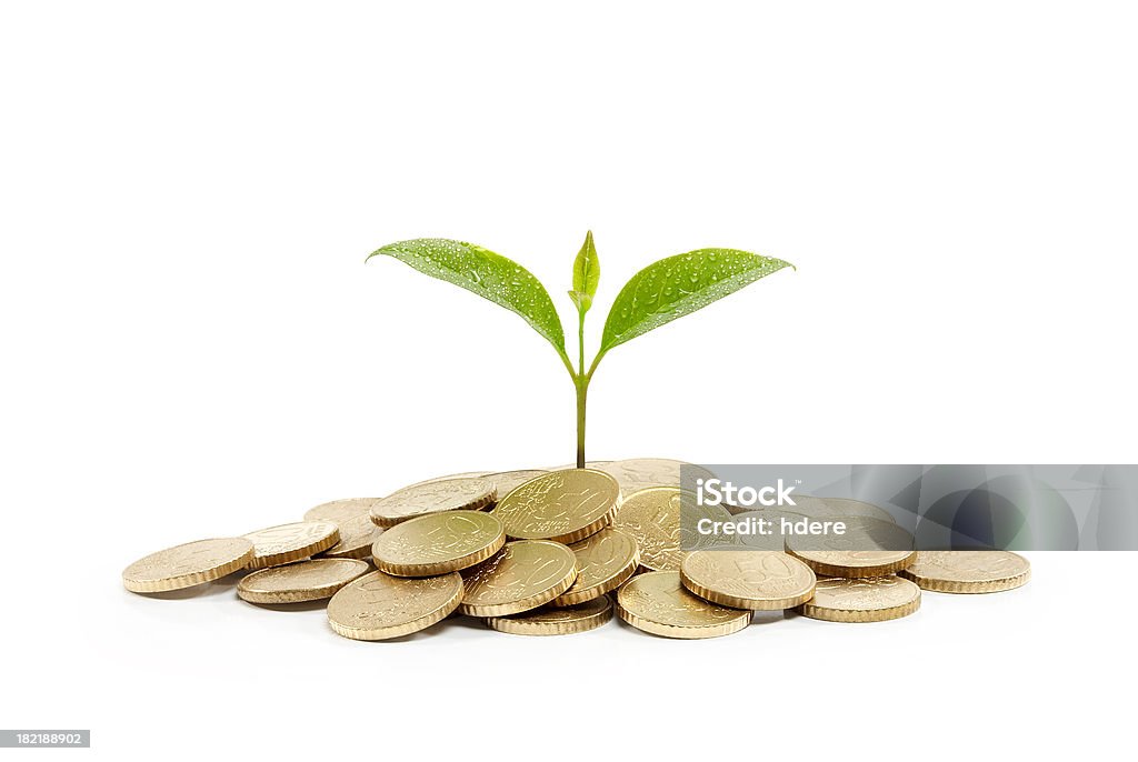 Moedas e a planta, isolado no fundo branco - Foto de stock de Conceito royalty-free