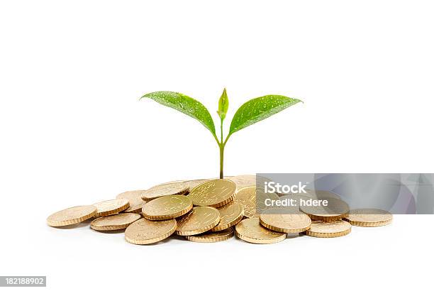 Foto de Moedas E A Planta Isolado No Fundo Branco e mais fotos de stock de Conceito - Conceito, Conceitos e temas, Cotação de Juros