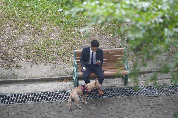 Travelling With Pets.walking with their pets .commuting and shopping