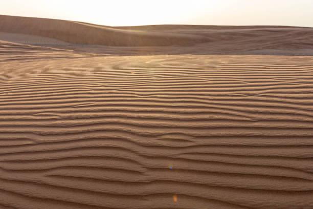 istock sunset light on golden desert dunes. desert pattern 1821898718
