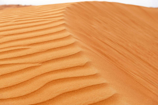 wave of golden desert dunes. desert pattern