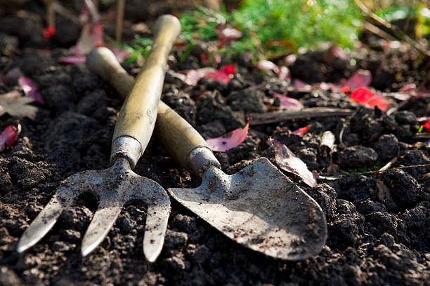 A used hand ho and shovel in dirt stock photo