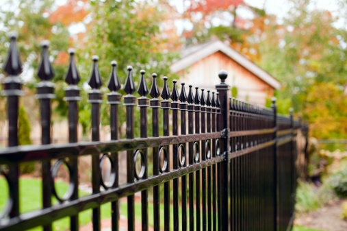 A rod iron fence in a back yard - very shallow depth of field.