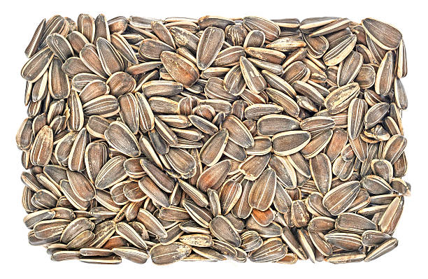 Sunflower seeds isolated of white stock photo