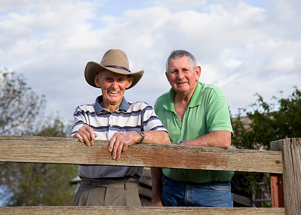 Elderly Brothers stock photo