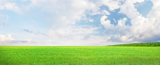 istock Wide summer landscape with meadow and scenic sky 1821912495