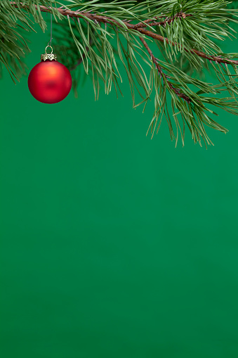 Christmas Border of Pine Branch with Red ornament on a Green Background. Vertical, Full Frame.