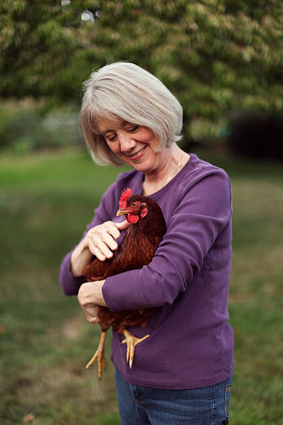 istock Woman Holding Chicken 182191295