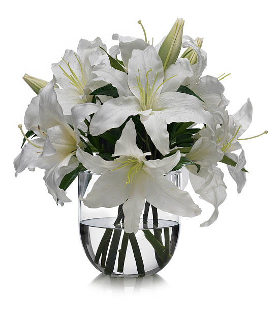 A stunning arrangement of Casablanca lilies in a glass bowl.  There is an embedded path which may be used to delete the reflection if desired.  Photographed on a bright white background. Extremely high quality faux flowers.