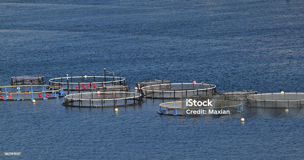 養魚場 - ビジネスのロイヤリティフリーストックフォト