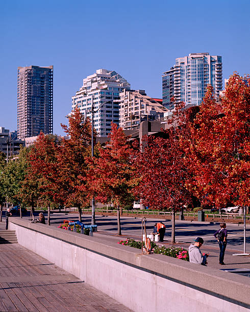 istock Along Alaskan Way, Seattle, Washington, United States 182192099