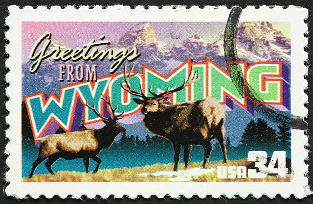 istock Wyoming elk and Tetons 182192659