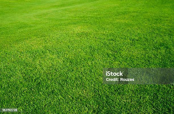 Photo libre de droit de Vert Grass Field banque d'images et plus d'images libres de droit de Golf - Golf, Herbe, Jardin de la maison