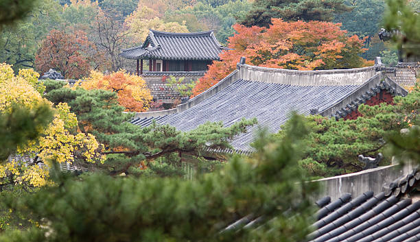 istock Chang-Gyeong Palace 182192874
