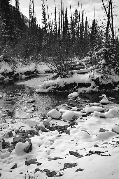 istock not sure what this photo is of 182193145