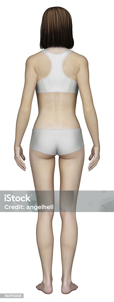 Menschlichen Körper einer Frau - Lizenzfrei Anatomie Stock-Foto