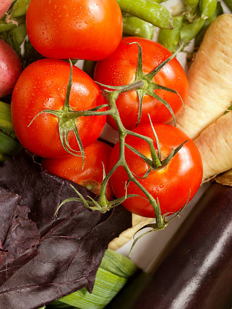 Organic Tomatoes