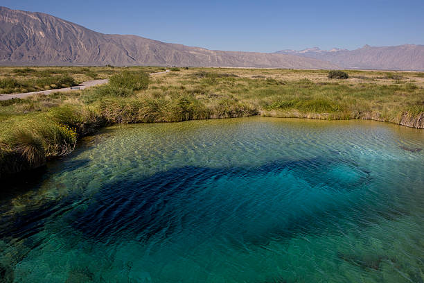 istock Marsh en Cuatro Cienegas Coahuila 182193763