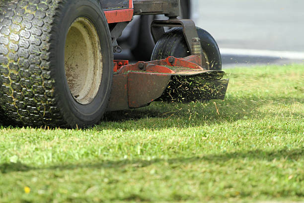 schneiden gras - cut grass stock-fotos und bilder