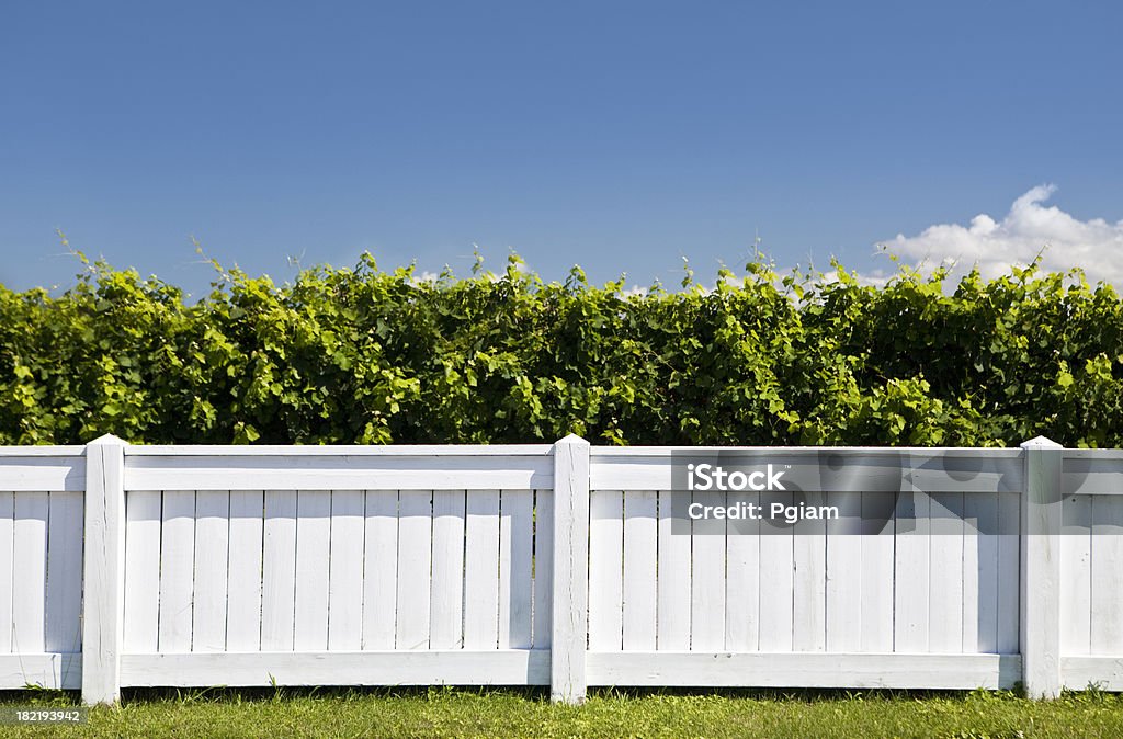 真っ白なペンキ塗りのフェンス - 柵のロイヤリティフ��リーストックフォト