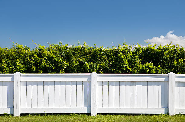 White picket fence Vineyard boundry under a summer blue sky fence stock pictures, royalty-free photos & images