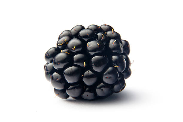 frutas: blackberry - blackberry fruit mulberry isolated - fotografias e filmes do acervo