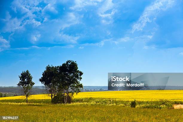 Summer Landscape Stock Photo - Download Image Now - Agricultural Field, Backgrounds, Beauty In Nature