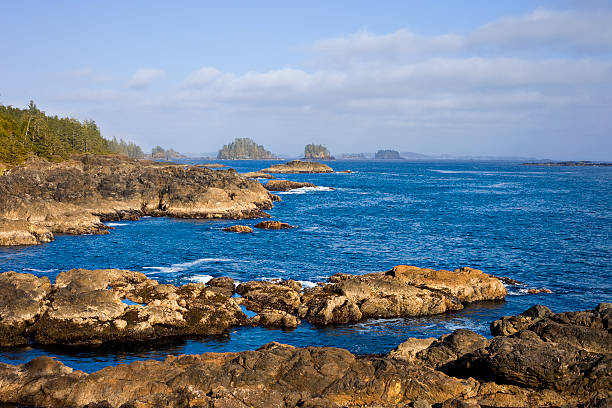istock Pacific Rim National Park Vancouver Island Canada 182194420