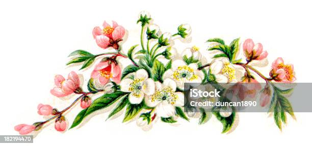 Gravur Vintage Farbe Blumen Stock Vektor Art und mehr Bilder von Blume - Blume, Blume aus gemäßigter Klimazone, Blumenbouqet