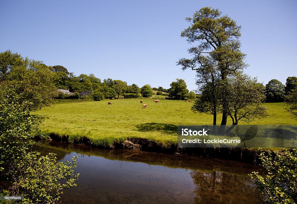 Riverside field by the river Agricultural Field Stock Photo