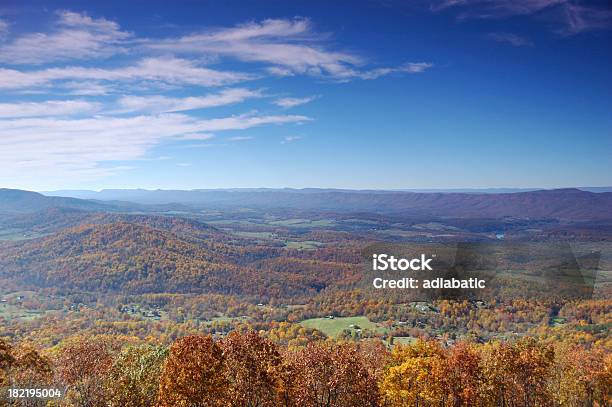 Fogliame Autunnale - Fotografie stock e altre immagini di Albero - Albero, Ambientazione esterna, Arancione