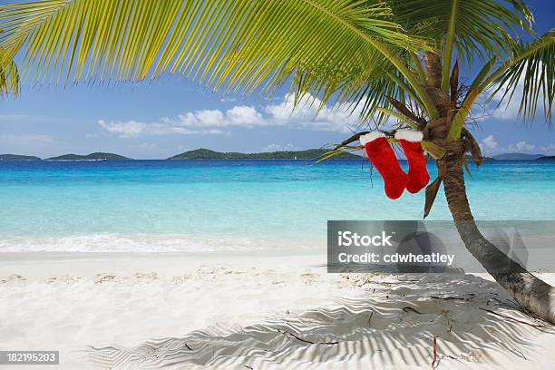 Frohe Weihnachten Von Der Karibik Stockfoto und mehr Bilder von Weihnachten - Weihnachten, Strand, Palme