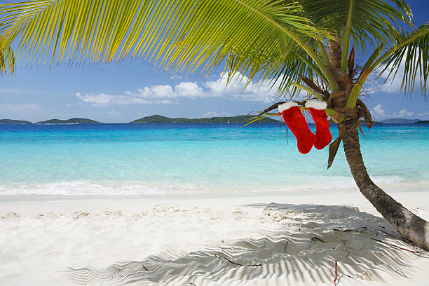 istock Merry Christmas from the Caribbean 182195203